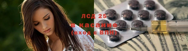 ГАЛЛЮЦИНОГЕННЫЕ ГРИБЫ Касимов