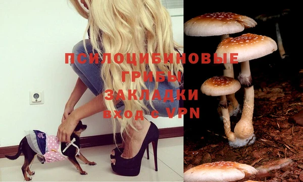 Альфа ПВП Абдулино